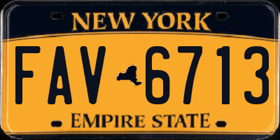 NY license plate FAV6713