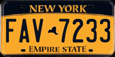 NY license plate FAV7233