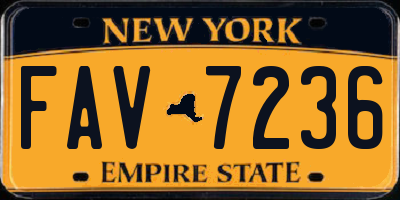 NY license plate FAV7236