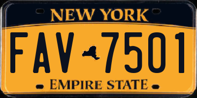 NY license plate FAV7501