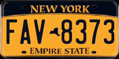 NY license plate FAV8373