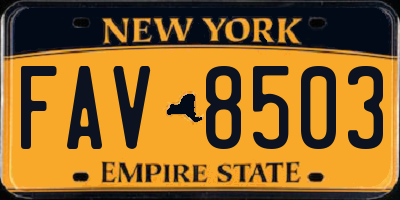 NY license plate FAV8503