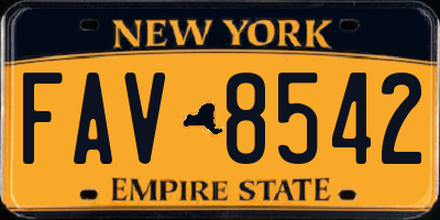 NY license plate FAV8542