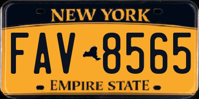 NY license plate FAV8565