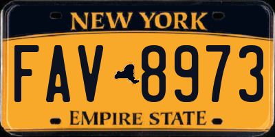 NY license plate FAV8973