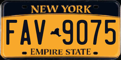 NY license plate FAV9075