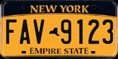 NY license plate FAV9123