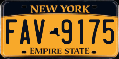 NY license plate FAV9175