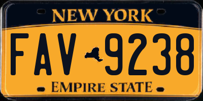 NY license plate FAV9238