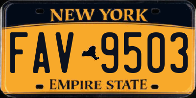 NY license plate FAV9503