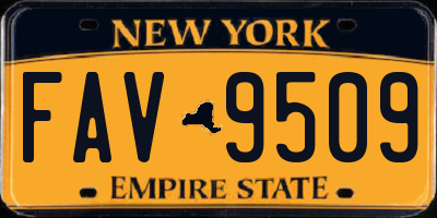 NY license plate FAV9509