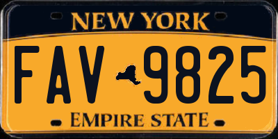 NY license plate FAV9825