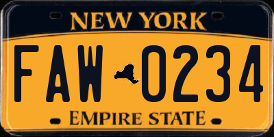 NY license plate FAW0234