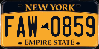 NY license plate FAW0859