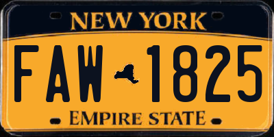 NY license plate FAW1825