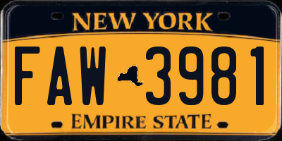 NY license plate FAW3981