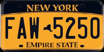 NY license plate FAW5250