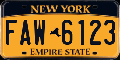 NY license plate FAW6123