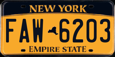 NY license plate FAW6203