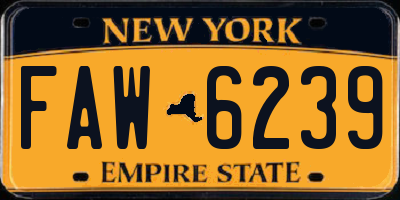NY license plate FAW6239