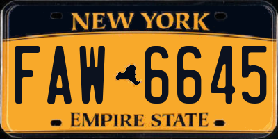 NY license plate FAW6645