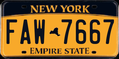 NY license plate FAW7667
