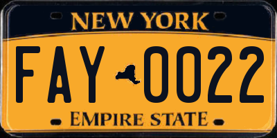 NY license plate FAY0022