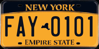NY license plate FAY0101