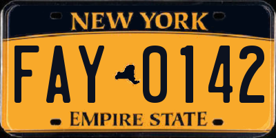 NY license plate FAY0142