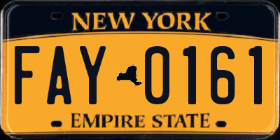 NY license plate FAY0161