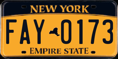 NY license plate FAY0173