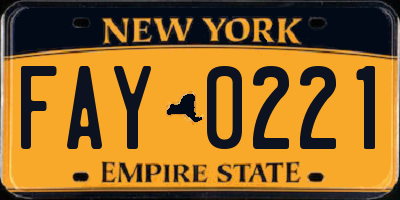 NY license plate FAY0221