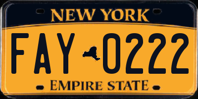 NY license plate FAY0222