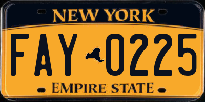 NY license plate FAY0225