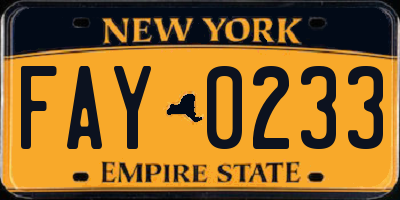 NY license plate FAY0233