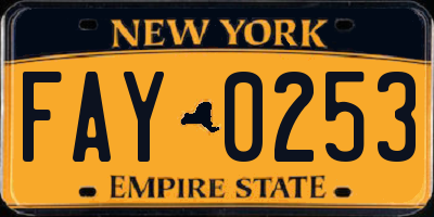 NY license plate FAY0253