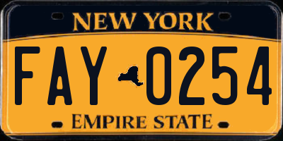 NY license plate FAY0254