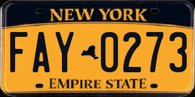 NY license plate FAY0273