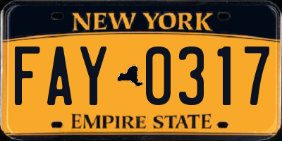 NY license plate FAY0317