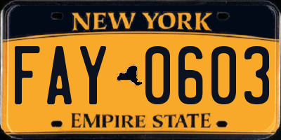 NY license plate FAY0603