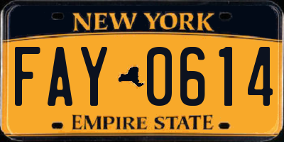 NY license plate FAY0614