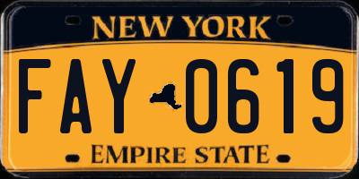 NY license plate FAY0619