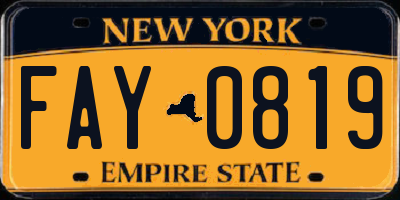 NY license plate FAY0819