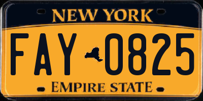NY license plate FAY0825