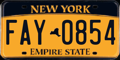 NY license plate FAY0854