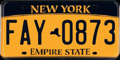 NY license plate FAY0873