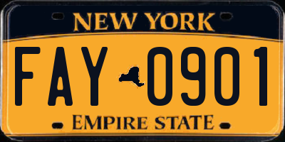 NY license plate FAY0901