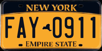 NY license plate FAY0911