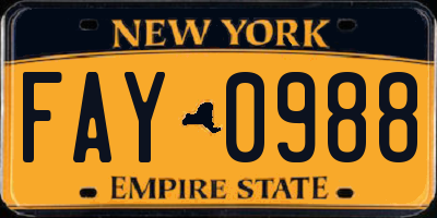 NY license plate FAY0988