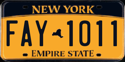 NY license plate FAY1011